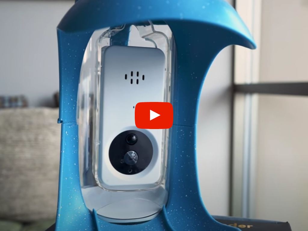 Smart Bird Feeder Video